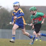 PRIMARY SCHOOLS EASTERN ALLIANZ MINI SEVENS CAMOGIE AND HURLING