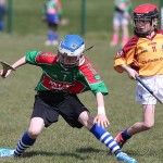 EASTERN U11 HURLING FINALS 2013