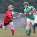 PRIMARY SCHOOLS EASTERN ALLIANZ MINI SEVENS CAMOGIE AND HURLING