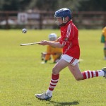 EASTERN U11 HURLING FINALS 2013