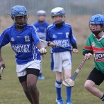 PRIMARY SCHOOLS EASTERN ALLIANZ MINI SEVENS CAMOGIE AND HURLING