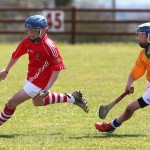 EASTERN U11 HURLING FINALS 2013