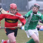 PRIMARY SCHOOLS EASTERN ALLIANZ MINI SEVENS CAMOGIE AND HURLING