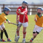 EASTERN U11 HURLING FINALS 2013