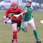 PRIMARY SCHOOLS EASTERN ALLIANZ MINI SEVENS CAMOGIE AND HURLING