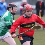 PRIMARY SCHOOLS EASTERN ALLIANZ MINI SEVENS CAMOGIE AND HURLING