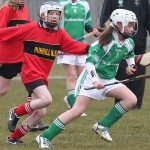 PRIMARY SCHOOLS EASTERN ALLIANZ MINI SEVENS CAMOGIE AND HURLING