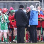 PRIMARY SCHOOLS EASTERN ALLIANZ MINI SEVENS CAMOGIE AND HURLING