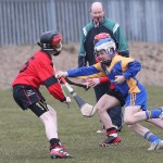 PRIMARY SCHOOLS EASTERN ALLIANZ MINI SEVENS CAMOGIE AND HURLING