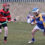 PRIMARY SCHOOLS EASTERN ALLIANZ MINI SEVENS CAMOGIE AND HURLING