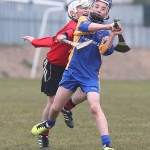 PRIMARY SCHOOLS EASTERN ALLIANZ MINI SEVENS CAMOGIE AND HURLING