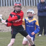 PRIMARY SCHOOLS EASTERN ALLIANZ MINI SEVENS CAMOGIE AND HURLING