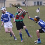 PRIMARY SCHOOLS EASTERN ALLIANZ MINI SEVENS CAMOGIE AND HURLING