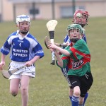 PRIMARY SCHOOLS EASTERN ALLIANZ MINI SEVENS CAMOGIE AND HURLING