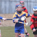 PRIMARY SCHOOLS EASTERN ALLIANZ MINI SEVENS CAMOGIE AND HURLING