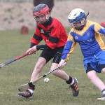 PRIMARY SCHOOLS EASTERN ALLIANZ MINI SEVENS CAMOGIE AND HURLING