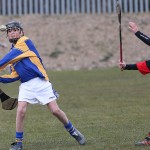 PRIMARY SCHOOLS EASTERN ALLIANZ MINI SEVENS CAMOGIE AND HURLING