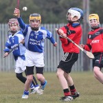 PRIMARY SCHOOLS EASTERN ALLIANZ MINI SEVENS CAMOGIE AND HURLING