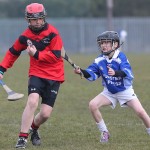 PRIMARY SCHOOLS EASTERN ALLIANZ MINI SEVENS CAMOGIE AND HURLING