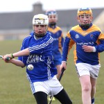 PRIMARY SCHOOLS EASTERN ALLIANZ MINI SEVENS CAMOGIE AND HURLING