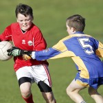 Co.Primary Schools Allianz Football Finals.