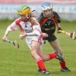 Allianz Eastern Primary Schools Camogie Finals 2013