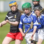 Allianz Eastern Primary Schools Camogie Finals 2013