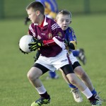 Co.Primary Schools Allianz Football Finals.