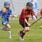 Allianz Eastern Primary Schools Camogie Finals 2013