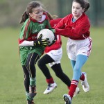 Co.Primary Schools Allianz Football Finals.