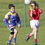 Co.Primary Schools Allianz Football Finals.