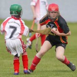 Allianz Eastern Primary Schools Camogie Finals 2013