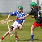 Allianz Eastern Primary Schools Camogie Finals 2013