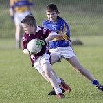 Co.Primary Schools Allianz Football Finals.