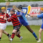 Allianz Eastern Primary Schools Camogie Finals 2013