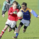 Co.Primary Schools Allianz Football Finals.