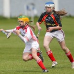 Allianz Eastern Primary Schools Camogie Finals 2013