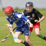 Allianz Eastern Primary Schools Camogie Finals 2013