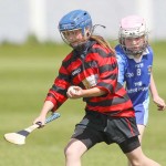 Allianz Eastern Primary Schools Camogie Finals 2013