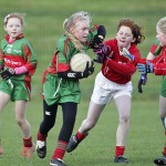 Co.Primary Schools Allianz Football Finals.