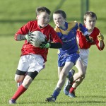 Co.Primary Schools Allianz Football Finals.