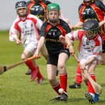 Allianz Eastern Primary Schools Camogie Finals 2013