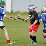 Allianz Eastern Primary Schools Camogie Finals 2013