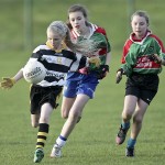 Co.Primary Schools Allianz Football Finals.