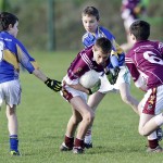 Co.Primary Schools Allianz Football Finals.