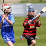 Allianz Eastern Primary Schools Camogie Finals 2013