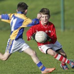 Co.Primary Schools Allianz Football Finals.