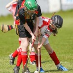 Allianz Eastern Primary Schools Camogie Finals 2013