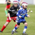 Allianz Eastern Primary Schools Camogie Finals 2013