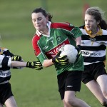 Co.Primary Schools Allianz Football Finals.